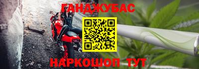 бошки Кингисепп