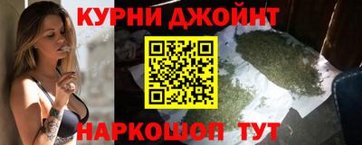 бошки Кингисепп