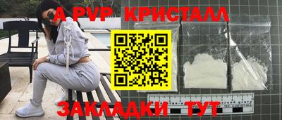 бошки Кингисепп