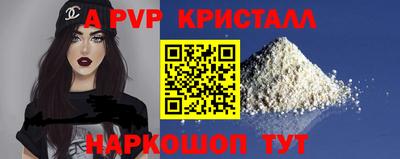 бошки Кингисепп
