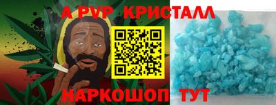 бошки Кингисепп