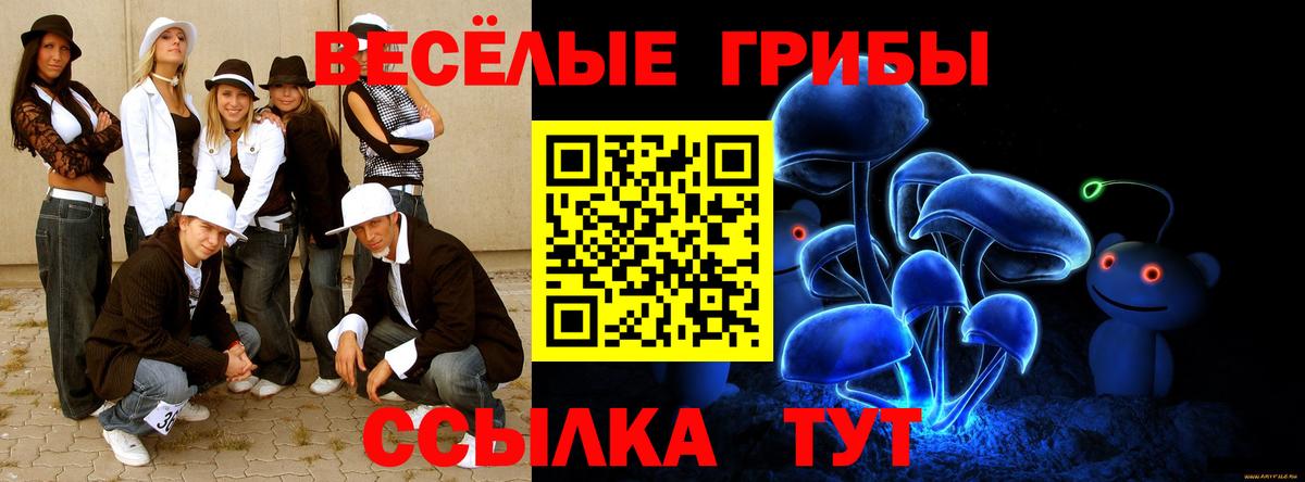 Псилоцибиновые грибы MAGIC MUSHROOMS Кашира